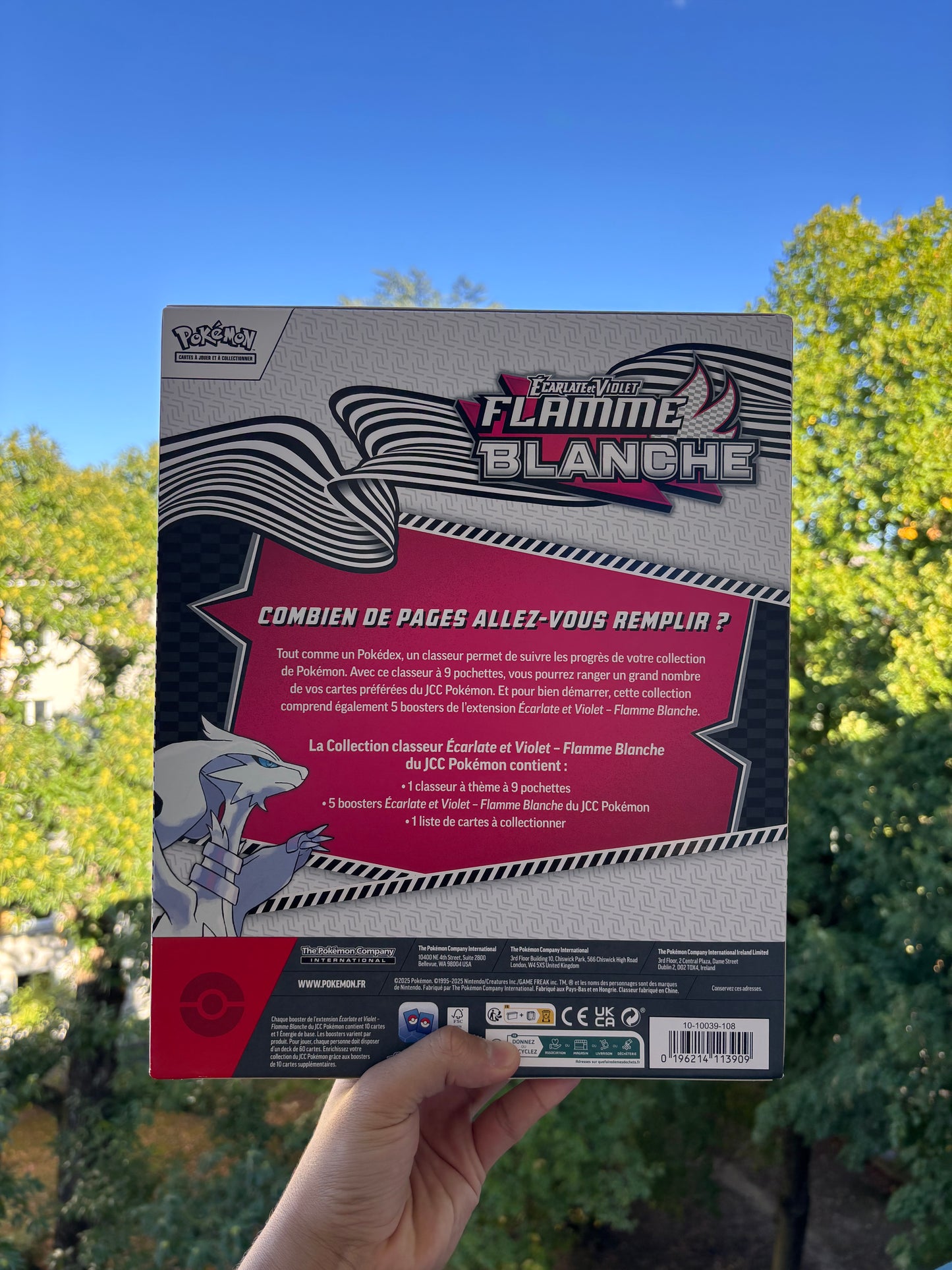 Pokémon – Collection Classeur Écarlate & Violet : Flamme Blanche. (EV 10.5) (FR)