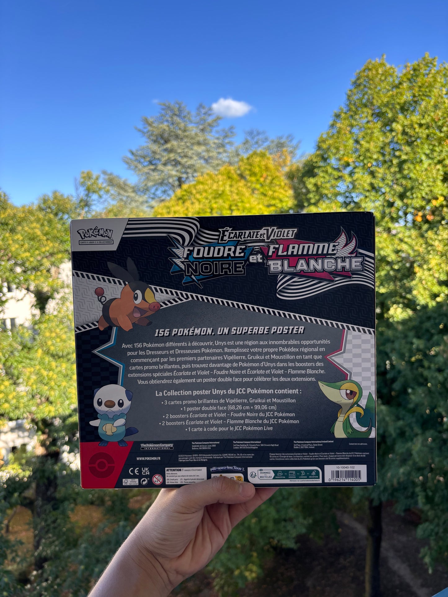 Pokémon – Coffret Collection Poster Unys – Écarlate & Violet : Foudre Noire & Flamme Blanche (EV 10.5) (FR)
