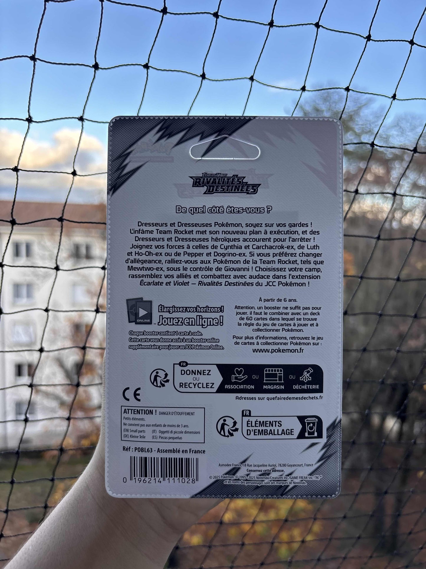 POKEMON - Artset Rivalités Destinées ev10