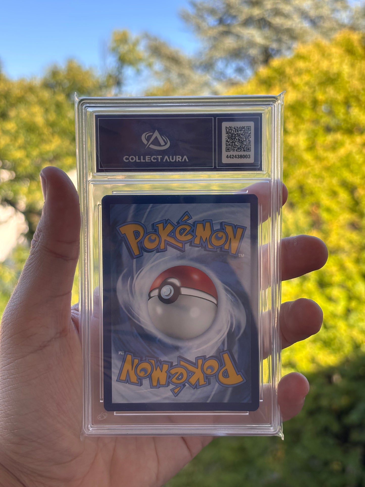 Carte Pokémon Victini 208 - SV Black Star Promo (FR)