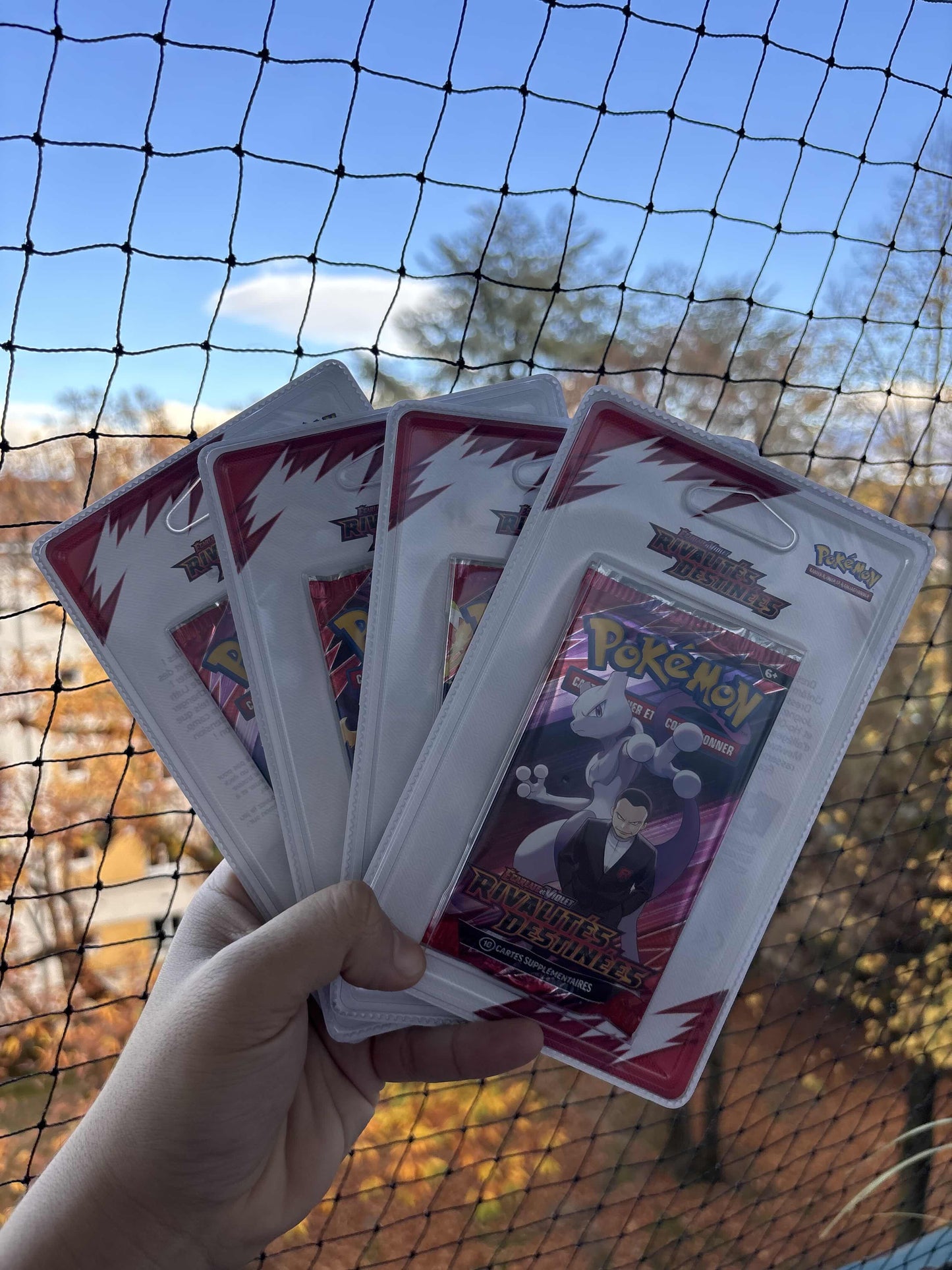 POKEMON - Artset Rivalités Destinées ev10