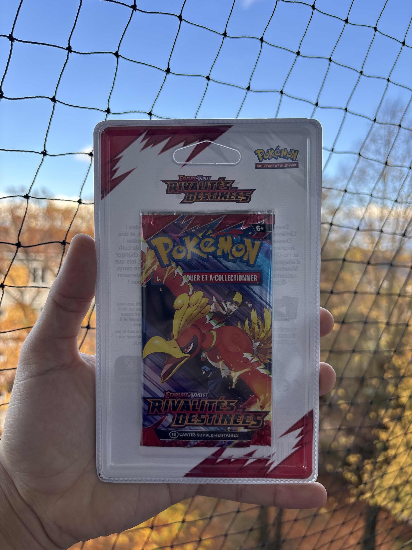 POKEMON - Artset Rivalités Destinées ev10