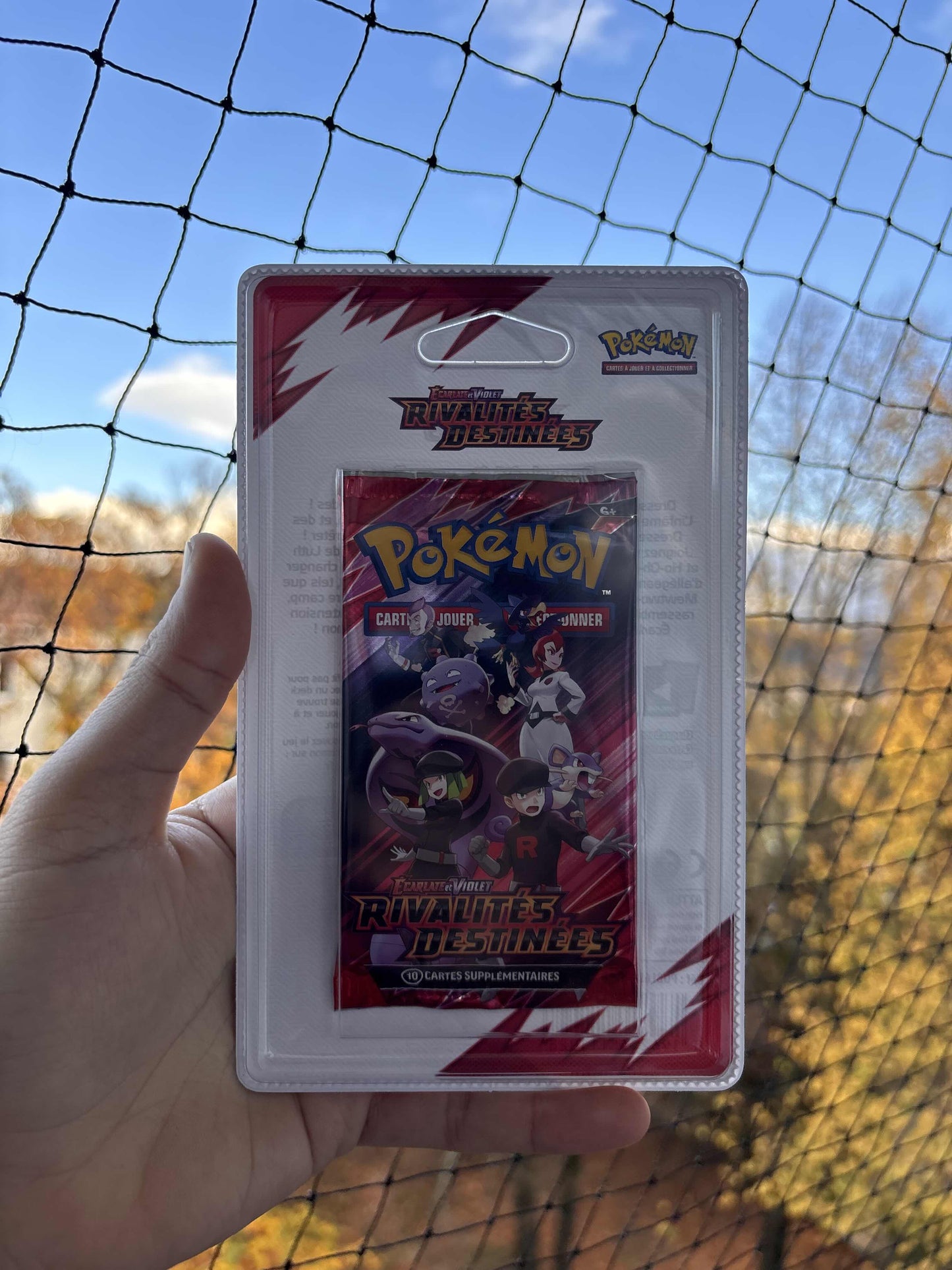 POKEMON - Artset Rivalités Destinées ev10