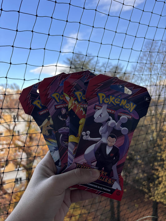 POKEMON - Artset Rivalités Destinees ev10