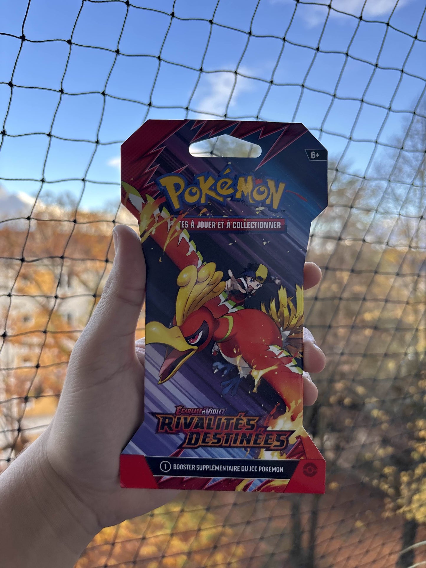 POKEMON - Artset Rivalités Destinees ev10