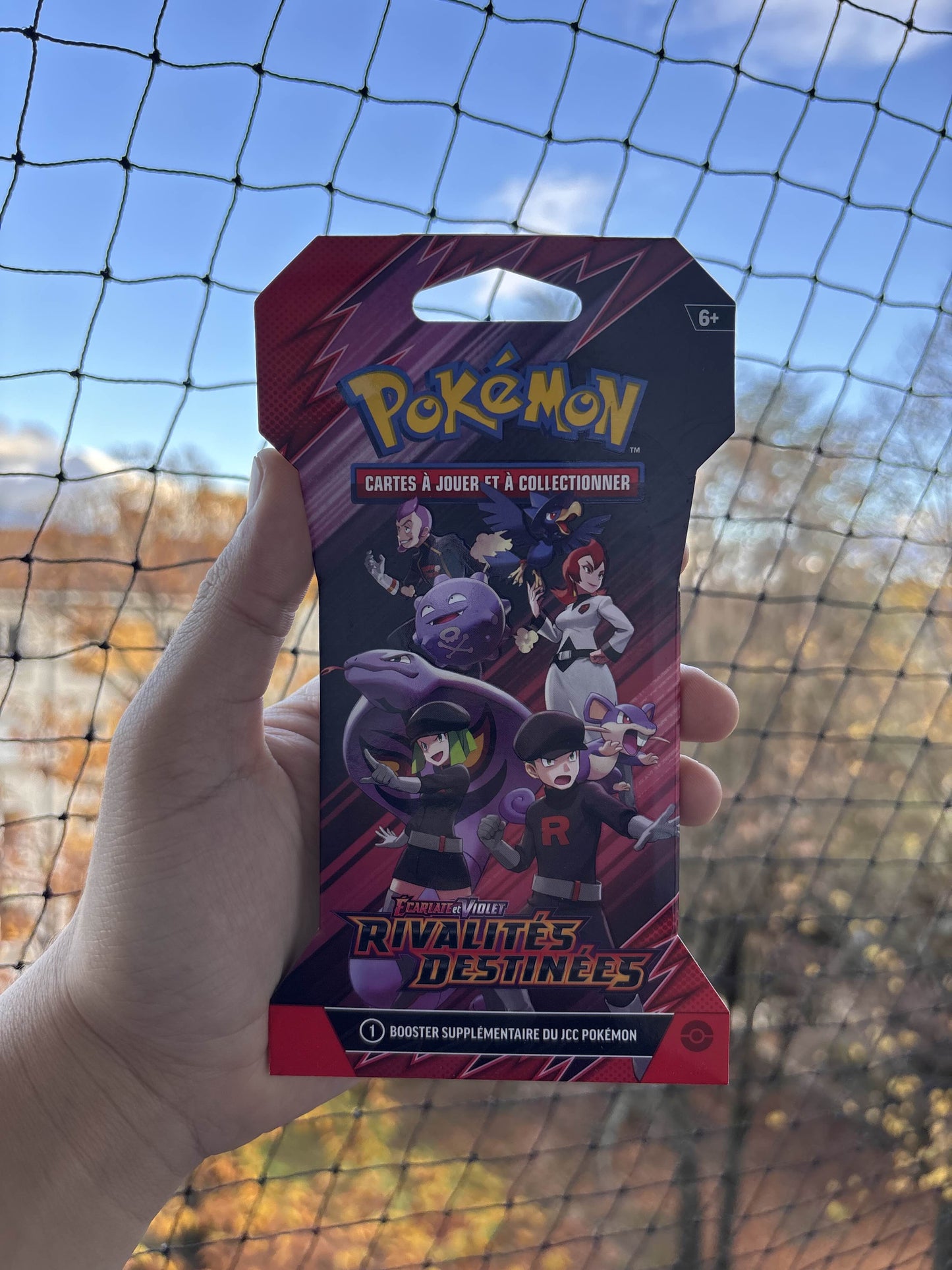 POKEMON - Artset Rivalités Destinees ev10